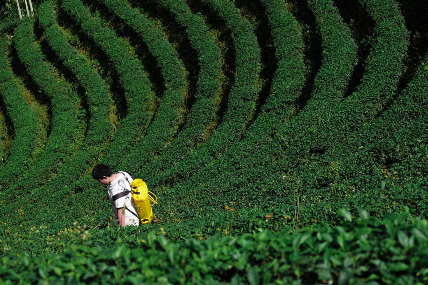 Farming